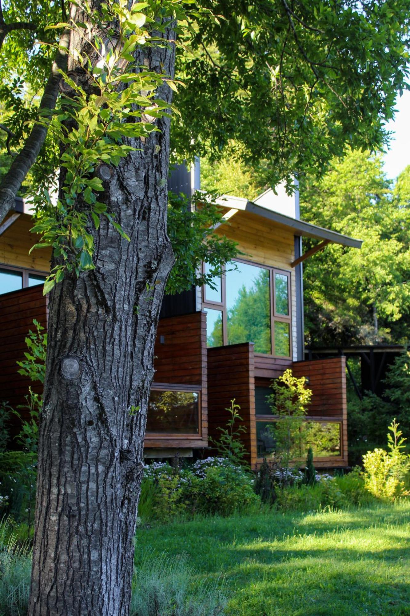 Ni-Newen Hotel & Lodge Pucón Exteriör bild